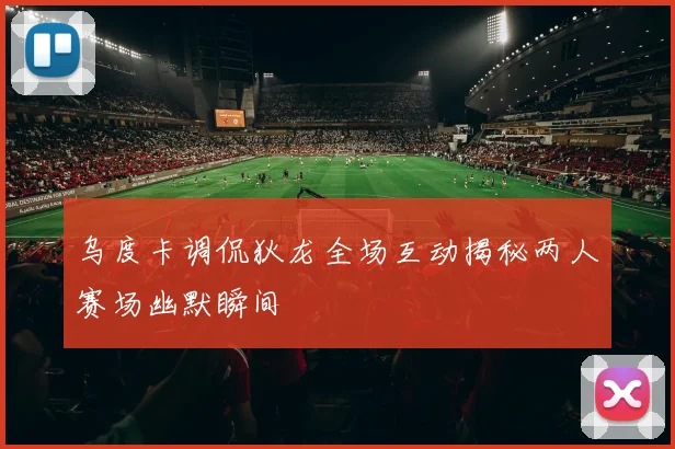 乌度卡调侃狄龙全场互动揭秘两人赛场幽默瞬间
