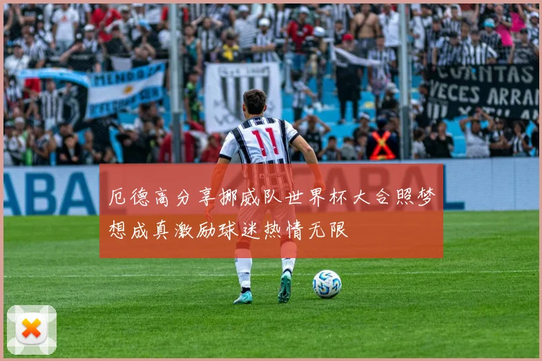 厄德高分享挪威队世界杯大合照梦想成真激励球迷热情无限