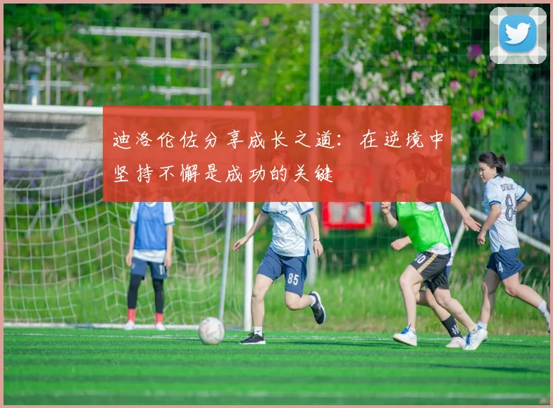 迪洛伦佐分享成长之道：在逆境中坚持不懈是成功的关键